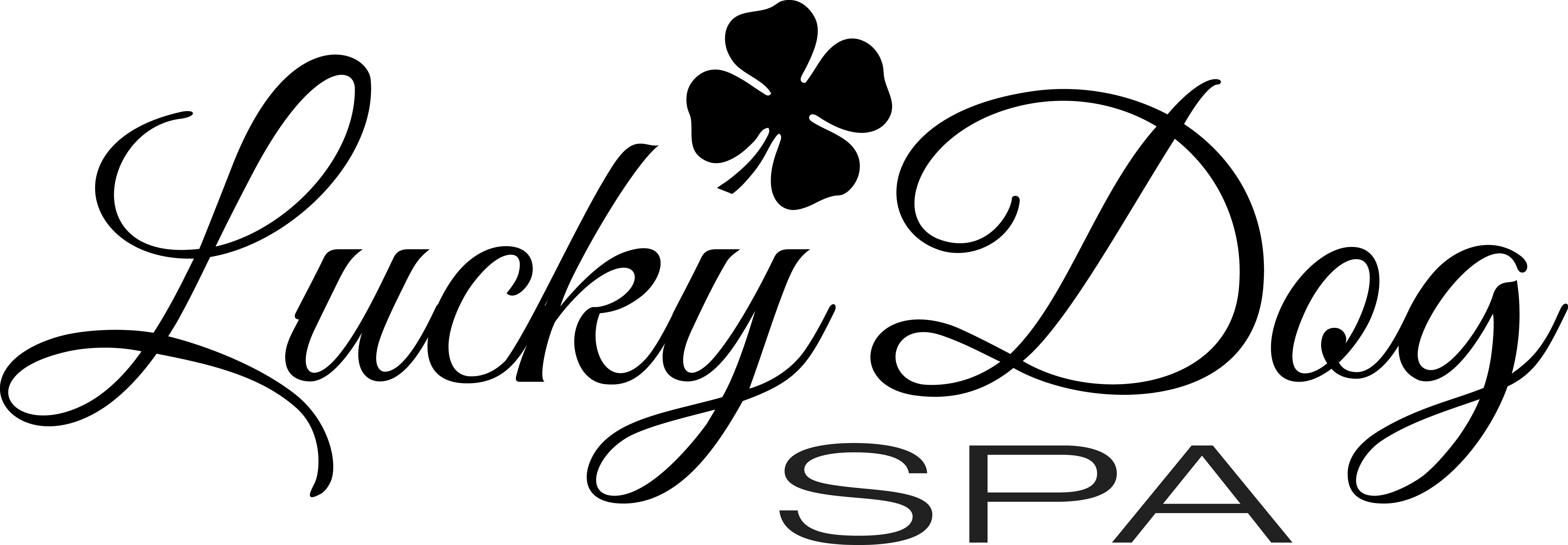 Booking Lucky Dog Spa